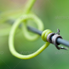 手机号轰炸服务