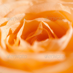 实时监控的无限轰炸手机软件短信下载