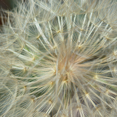 批量发送短信的平台