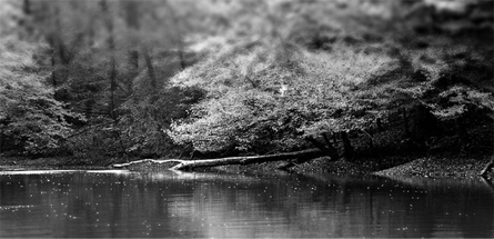 在线轰炸机电话软件